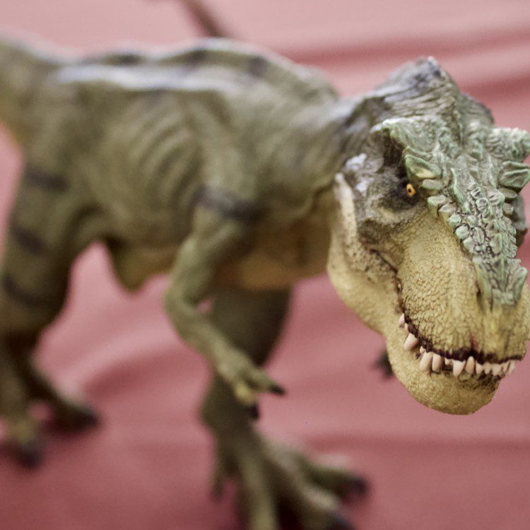 Dungeon Master in DFW, TX